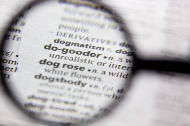 Sözlükte Word veya tümcecik do-Gooder.