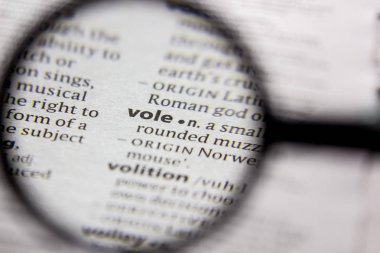 Sözlük içinde kelime veya cümle Vole.