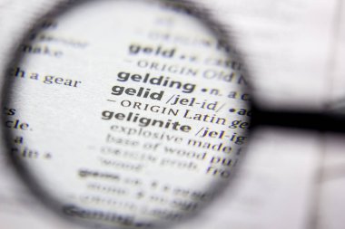 Kelime veya ifade Gelid bir sözlük.