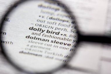 Kelime veya cümle Dolly kuş bir sözlük.