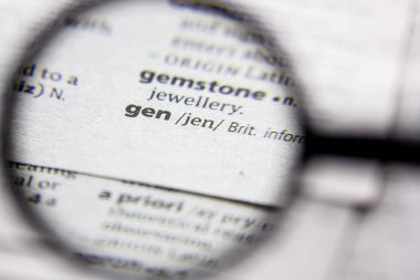 Kelime veya tümcecik gen bir sözlük.