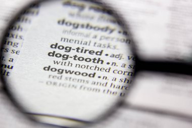 Kelime veya cümle bir sözlükte köpek-diş.