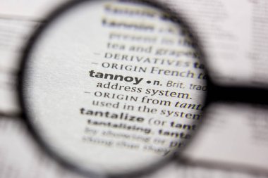 Kelime veya cümle Tannoy bir sözlük.