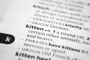 Kelime veya ifade Kitten bir sözlük.