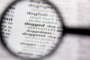 Kelime veya ifade bir sözlükte Inatçı.