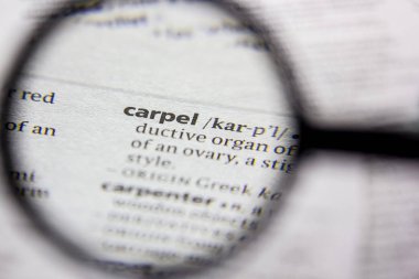 Bir sözlükte kelime veya cümle carpel.