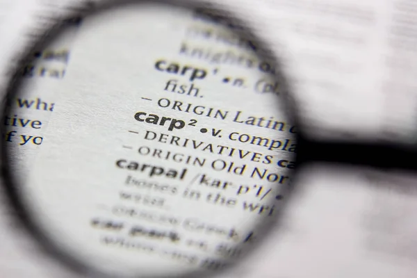 Parola o frase Carpa in un dizionario . — Foto Stock