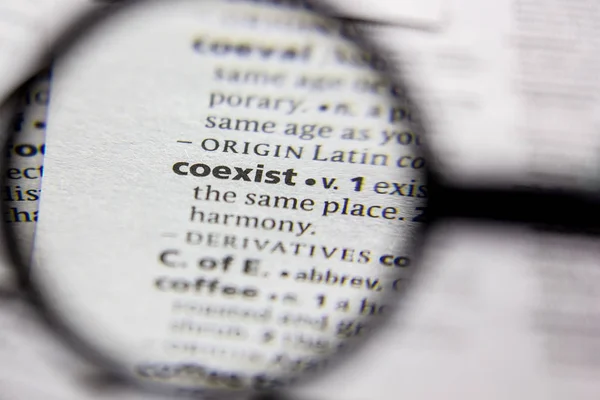 Word or phrase Coexist in a dictionary. — Stock Photo, Image