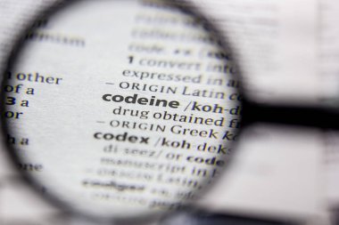 Sözlükte Word veya tümcecik Kodeyte.