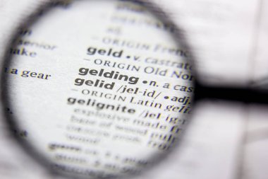 Kelime veya cümle bir sözlükte gelding.