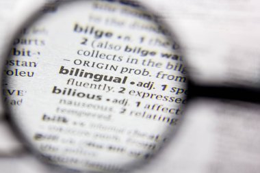 Sözlükte kelime veya ifade Iki dilli.