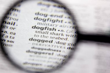 Kelime veya ifade Dogfish bir sözlük.