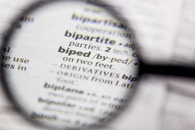 Sözcük veya ifade bir sözlükte biped.