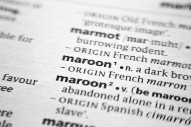 Kelime veya cümle Maroon bir sözlük.