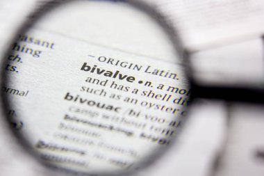 Kelime veya cümle bivalve bir sözlük.