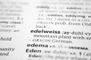 Sözlük içinde Edelweiss sözcüğü veya tümceciği.