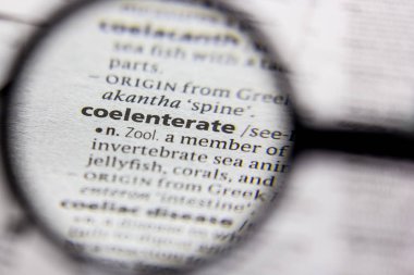 Kelime veya cümle Coelenterate bir sözlük.