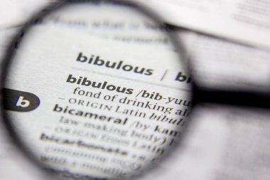 Kelime veya cümle bir sözlük Bibulous.