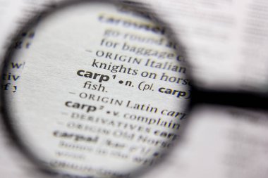 Sözlük içinde kelime veya cümle Carp.