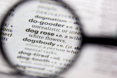 Kelime veya cümle köpek bir sözlük gül.