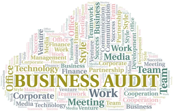 Business Audit word cloud. Collage made with text only. — Stock Vector