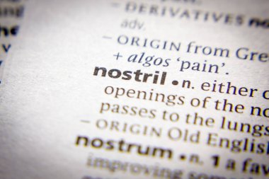 Sözlükte Sözcük veya tümcecik Burun Deliği.