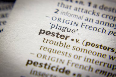 Sözlükteki sözcük veya tümcecik Pester.