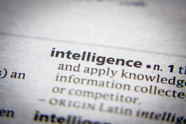 Sözlükteki sözcük veya tümcecik İstihbaratı.