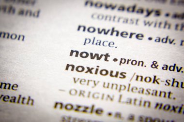 Sözlükte Sözcük veya tümcecik Nowt.