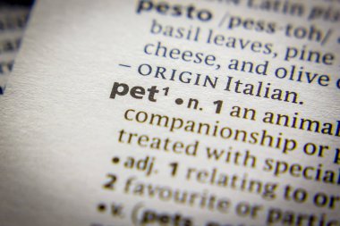 Sözlükteki sözcük veya tümcecik Pet.