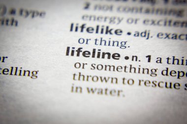 Sözlükteki sözcük veya tümcecik Yaşam Çizgisi.