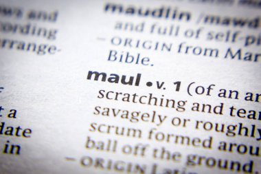 Sözlükte Sözcük veya tümcecik Maul.