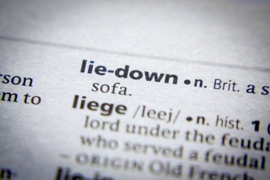 Sözlükte yatan sözcük veya tümcecik.