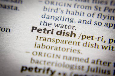 Sözlükte petri kabı sözcüğü veya tümceciği.