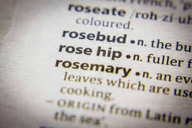 Sözlükte kelime veya ifade Rose hip.