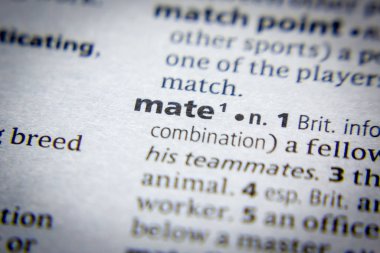 Sözlükteki sözcük veya tümcecik Mate.