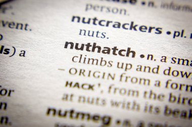 Sözlükte Nuthatch sözcüğü veya deyimi.