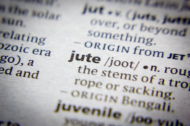 Sözlükte kelime veya tümcecik Jüt.