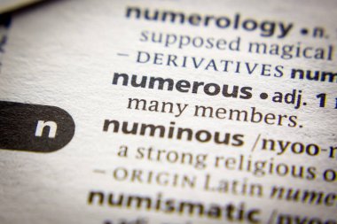 Sözlükte Çok Sayıda sözcük veya tümcecik.