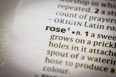 Sözlükte Gül sözcüğü veya tümceciği.