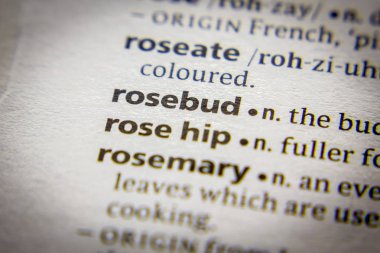 Sözlükte kelime veya ifade Rosebud.