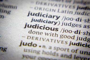 Sözlükte Sözcük veya tümcecik Mantıklı.