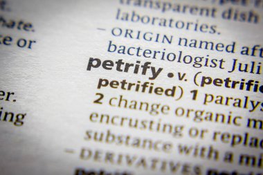 Sözlükte Petrify sözcüğü veya tümceciği.