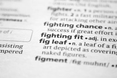 Sözlükte sığan sözcük veya tümcecik.