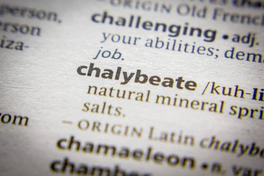 Sözlükte Kelime veya ifade Chalybeate.