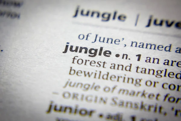 Word or phrase Jungle in a dictionary.