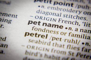 Sözlükteki sözcük veya tümcecik Pet adı.