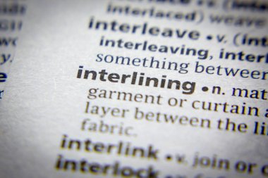 Sözlükte Kesişen Sözcük veya tümcecik.