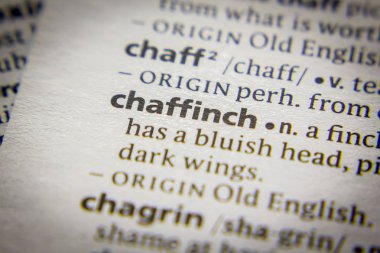 Sözlükte kelime veya ifade Chaffinch.