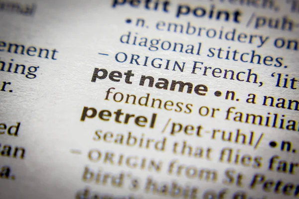 Sözlükteki sözcük veya tümcecik Pet adı.